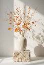 Autumn Branches In Neutral Ceramic Vase With Warm Minimal Interior Mood Royalty Free Stock Photo