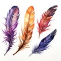 Ai generated watercolor multicolored rich bright feathers, dream catcher, isolated feather for different designs.