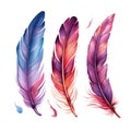 Ai generated watercolor multicolored rich bright feathers, dream catcher, isolated feather for different designs.