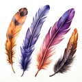 Ai generated watercolor multicolored rich bright feathers, dream catcher, isolated feather for different designs.