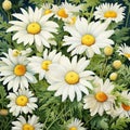 A whimsical watercolor botanical illustration of a field of wild daisies by AI generated Royalty Free Stock Photo