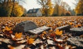 A pile of leaves is on the ground in front of a house. Royalty Free Stock Photo