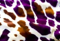 A white and purple spots of a cow skin texture