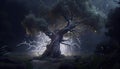 Tempest: A Tree\'s Last Stand, Made with Generative AI