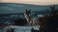 AI generated wolf standing in a snowy winter forest Royalty Free Stock Photo