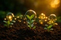 AI generated young green seedlings sprouting from rich soil under warm sunlight surrounded by glowing light domes and digital Royalty Free Stock Photo