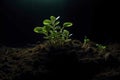 AI generated. Young plant in dirt with sun on dark screen