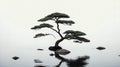 Ai generated zen scenario bonzai tree floathing in water Royalty Free Stock Photo