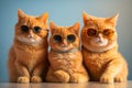 Ai generation of a family of cats posing for the camera