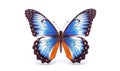 AI generative. Beautiful butterfly on white
