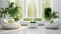beautiful white living room with a lot of green home plants