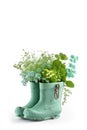AI Generative. Colorful Upcycled Wellington Boots with Blooming Spring Flowers on White Background Royalty Free Stock Photo
