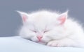 AI generative. Cute little white kitten sleeping