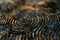 ai generative digital fingerprint trace