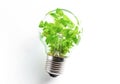 Ai generative. Eco friendly light bulb with green leaves