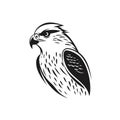 Falcon logo