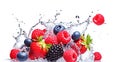 AI generative. Fresh berries with water splash on white Royalty Free Stock Photo