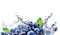 AI generative. Fresh Blueberries with water splash