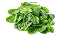 Ai generative. Fresh green baby spinach leaves on white