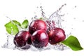 Ai generative. Fresh plums in water splash on white