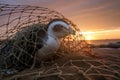 AI generative image. Little penguin wrapped in fisherman\'s net. Environmental issues concept