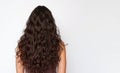 Ai generative. Rear view of a girl with beautiful long dark hair