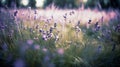Ai generative. Lavender flowers field