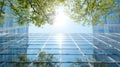 Looking up at a skyscraper through a sunlit leafy tree canopy. Royalty Free Stock Photo