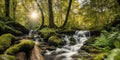 Enchanting Forest and Freshwater Streams