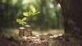 Small trees growing from coin stacks on the ground