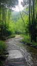 AI generative photography Beautiful house in a rural biome forest