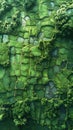 AI generative photography, In this enchanting spring scene,rice terraces