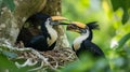 AI generative photography hornbill,Oriental Pied Hornbill. Oriental pied hornbill