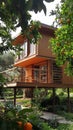 AI generative photography wooden house in the orange garden