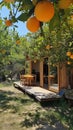 AI generative photography wooden house in the orange garden