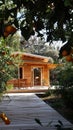 AI generative photography wooden house in the orange garden