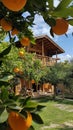 AI generative photography wooden house in the orange garden