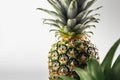 Ai Generative Pineapple isolated on a white background. Healthy food concept