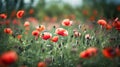 Ai generative. Poppy flowers field Royalty Free Stock Photo