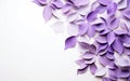 Ai generative. Purple flower petals on white background