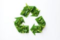 Ai generative. Recycling icon made from green leaves Royalty Free Stock Photo