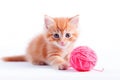 AI generative. Small red kitten is played with a ball of yarn