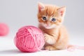 AI generative. Small red kitten is played with a ball of yarn