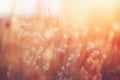 Ai generative. Soft light natural blurred background