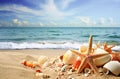 Ai generative. Summer beach with strafish and shells Royalty Free Stock Photo