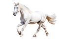 Ai generative. White horse on white