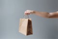 Ai Generative Woman holding paper bag on grey background, closeup. Mockup for design Royalty Free Stock Photo