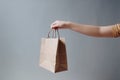 Ai Generative Woman holding paper bag on grey background, closeup. Mockup for design Royalty Free Stock Photo