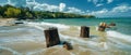 AI generator image of Old decaying tree stumps are being washed by waves on the beach Royalty Free Stock Photo