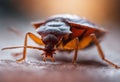An AI illustration of a bed bug on top of a table covered in food Royalty Free Stock Photo